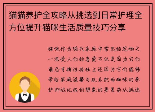 猫猫养护全攻略从挑选到日常护理全方位提升猫咪生活质量技巧分享